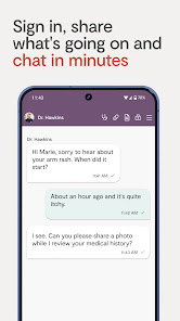Maple chat interface example